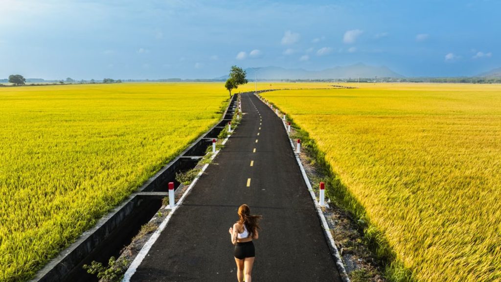 Cómo Mantenerse Motivado en el Camino hacia tus Metas Cómo Mantenerse Motivado en el Camino hacia tus Metas